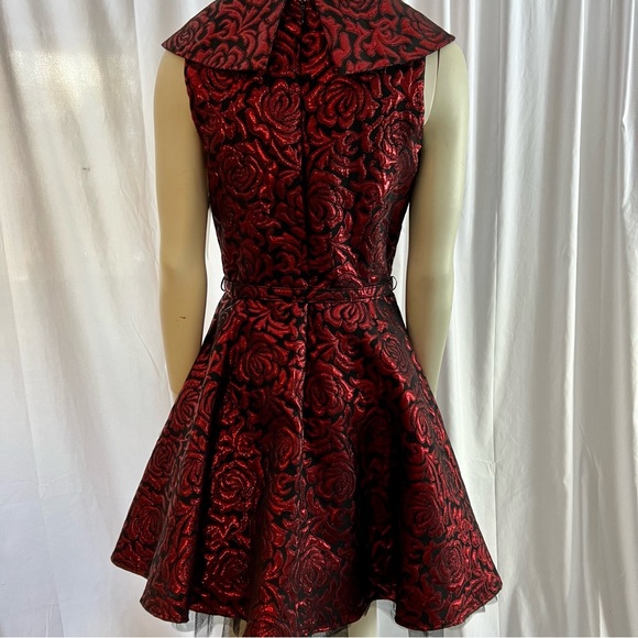 Tatyana Party dress - NWT! - Picture 9 of 10